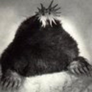 Meet your Posher, Katrina